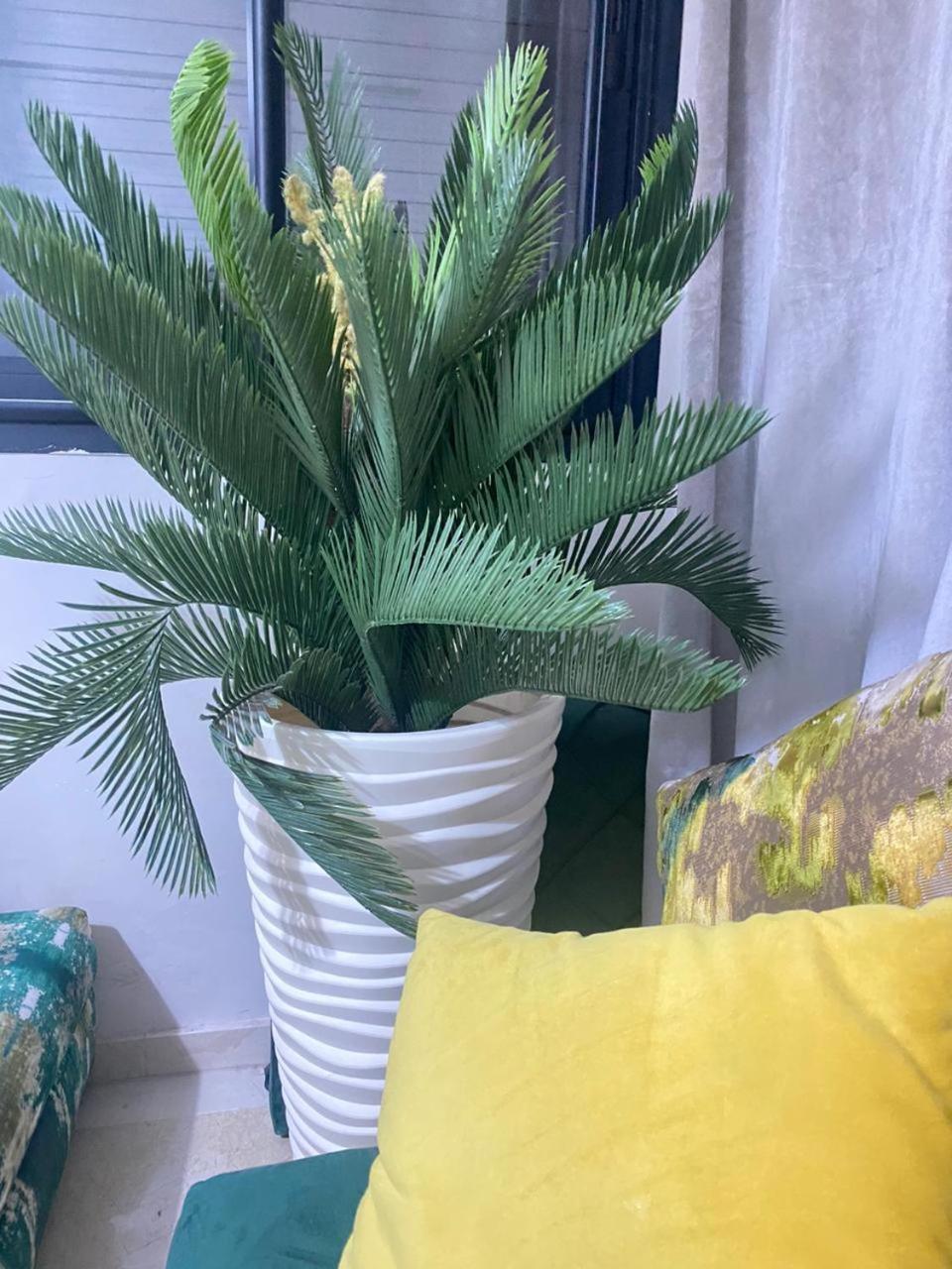 Cosy & Magnifique Appartement Marrakech Marrakesh Exteriör bild
